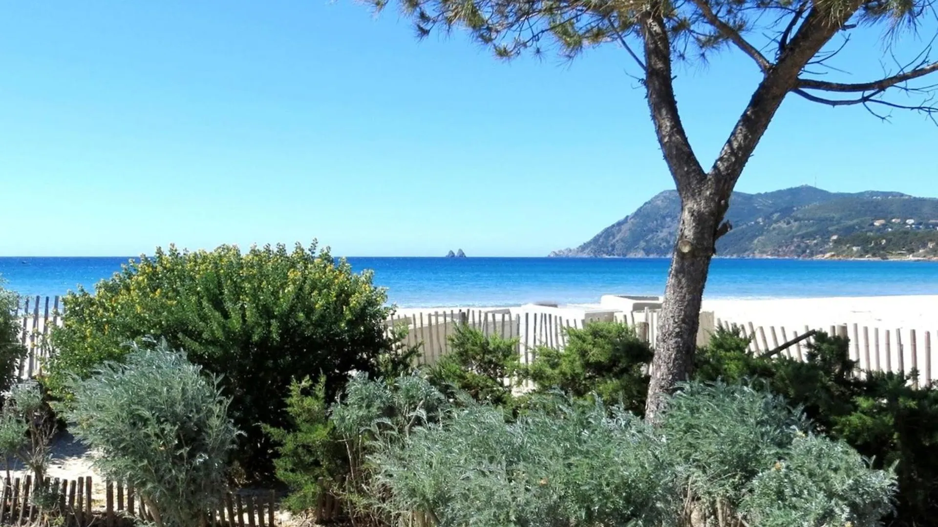 Cozy T2 With Garden Near The Sea Apartment Saint-Mandrier-sur-Mer